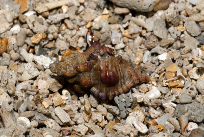 DSC_8503.jpg