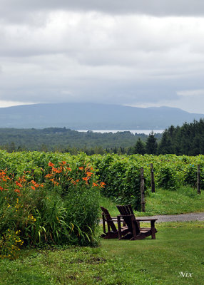 Domaine Les Bromes