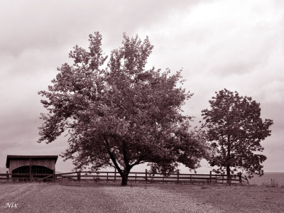 Domaine Les Bromes