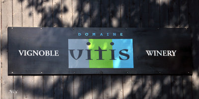 Domaine Vitis