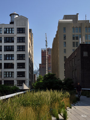 NYC ETE 2013 High Line