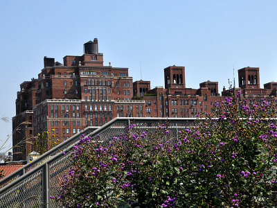 NYC ETE 2013 High Line