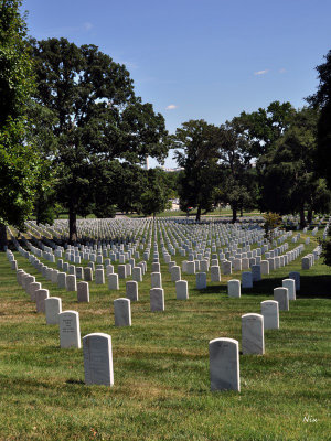 Cimetiere Arlington 2014