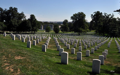 Cimetiere Arlington 2014