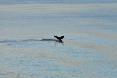 DSC_0088.JPG