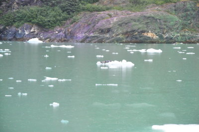 DSC_0116.JPG