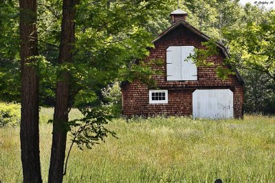 Barn in the woods