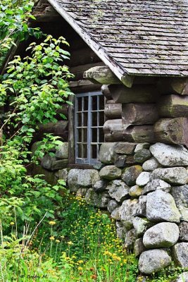 Backwoods cabin