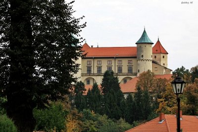 Castle in Nowy Wisnicz