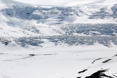 Icefield view