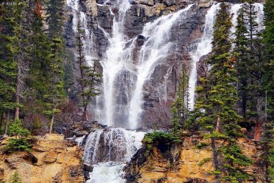 Tangle Creek Falls