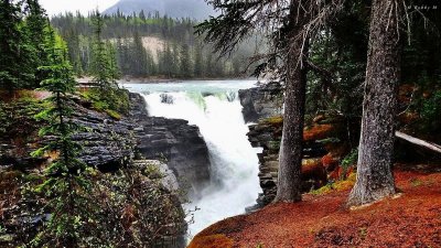 by Athabasca Falls