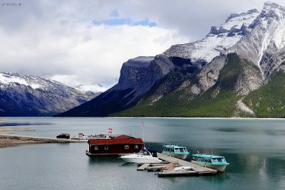 Cruise boats