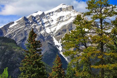 Cascade Mountain