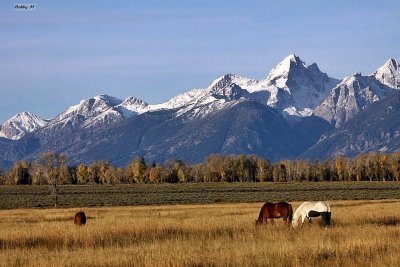 Wyoming views
