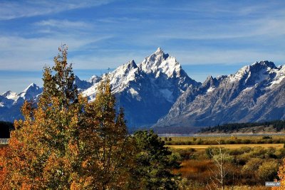 Autumn in Jackson Hole