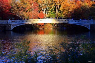 Central Park Bow Bridge