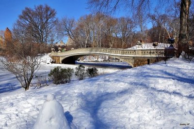 Sunny winter day