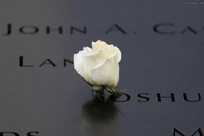 At 9/11 Memorial
