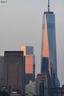 First light on WTC