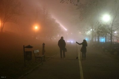 Lights in the mist