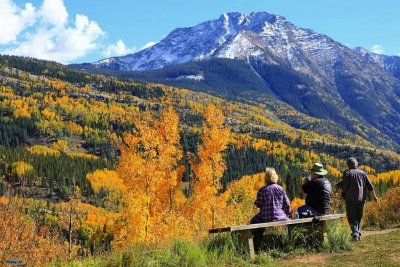 Bench with a view
