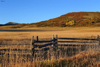 Ranch grounds