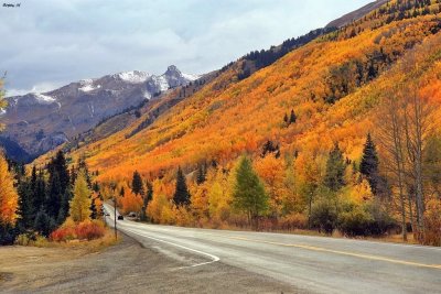 Fall colors along Hwy 550