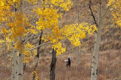Autumn outdoor activities