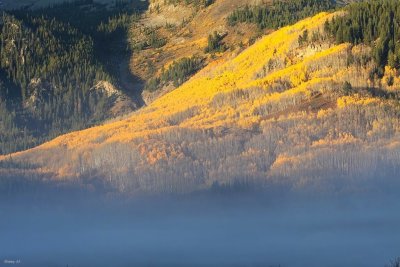 Magical misty morning
