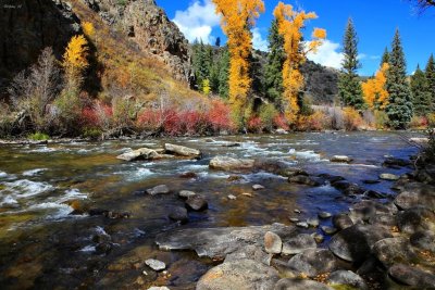 Mountain stream with autumn