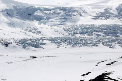 Icefield view 