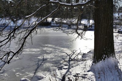 Icy Winter Pond