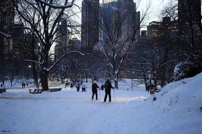 Urban skiing