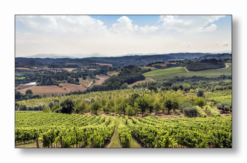 Fields of Tuscany