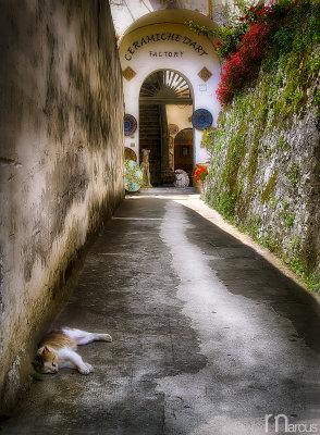 Lazy Day In Ravello