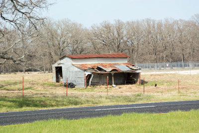DSC_0364.jpg