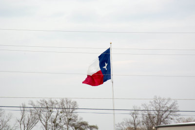 DSC_0383.jpg