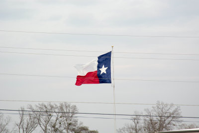 DSC_0385.jpg