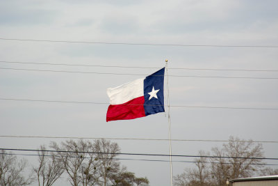 DSC_0386.jpg