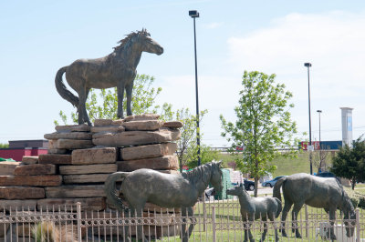 Mustang Crossing