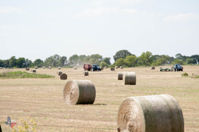 Making Hay