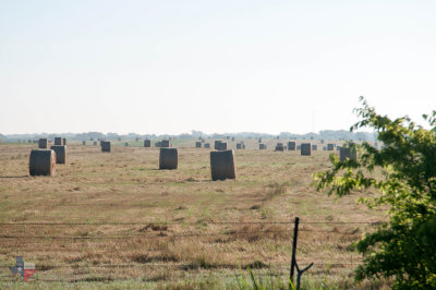 _RCD2510.jpg