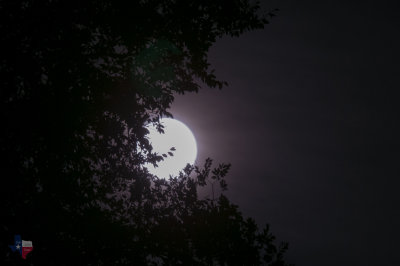 July Full Moon East Texas