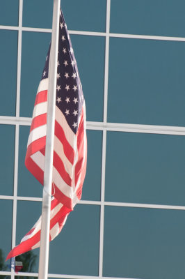Happy Flag Friday !!