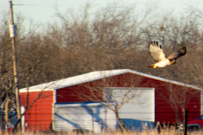 _DSC5740.jpg