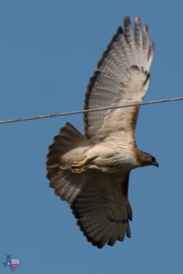 RCD_9349.jpg