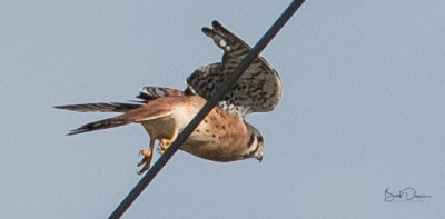 RCD_6472.jpg