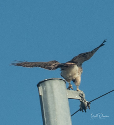 RCD_7151.jpg