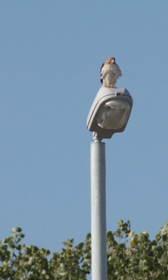 RCD_6956-2.jpg